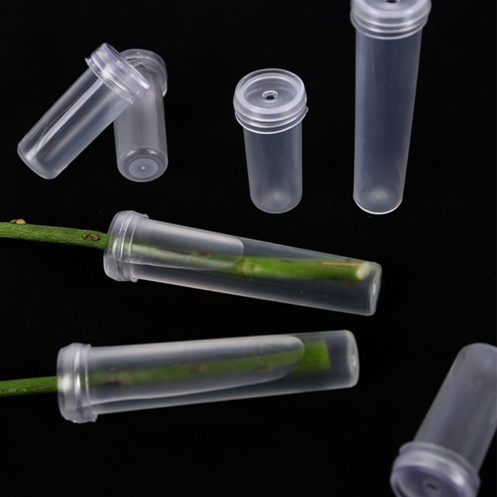 Taze Çiçekler İçin Uzun Süreli - Florist Supply Shop incelemesi ve fiyatı