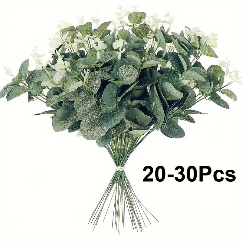 20 veya 30 adet Okaliptüs Yapr - Eucalyptus Preserved incelemesi ve fiyatı