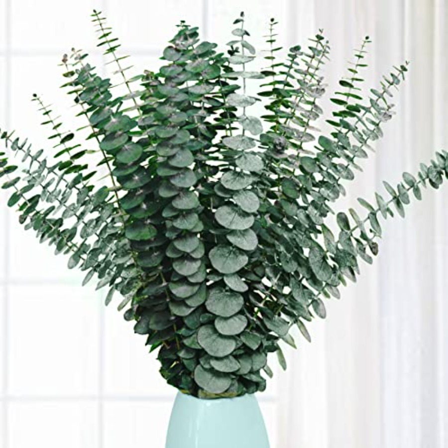 20 Adet Korunmuş Kurutulmuş Ok - Eucalyptus Preserved incelemesi ve fiyatı